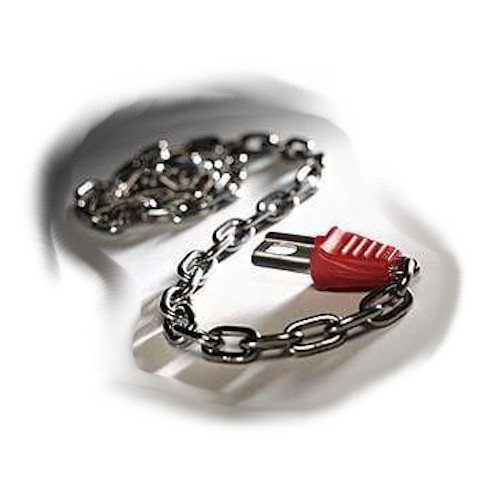 Trolley Lock Starter Chain