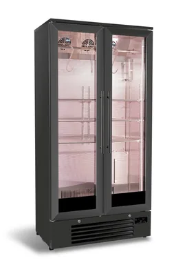 CombiSteel 7455.1960 Dry Age Cabinet 458 L